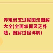 养殖灵芝过程图示图解大全(全面掌握灵芝养殖，图解过程详解)