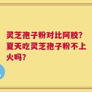 灵芝孢子粉对比阿胶？夏天吃灵芝孢子粉不上火吗？