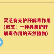 灵芝有无护肝解毒作用(灵芝：一种具备护肝解毒作用的天然植物)