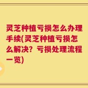 灵芝种植亏损怎么办理手续(灵芝种植亏损怎么解决？亏损处理流程一览)