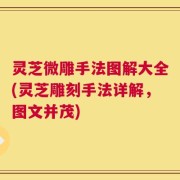 灵芝微雕手法图解大全(灵芝雕刻手法详解，图文并茂)
