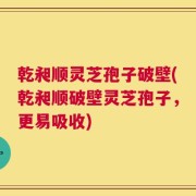 乾昶顺灵芝孢子破壁(乾昶顺破壁灵芝孢子，更易吸收)