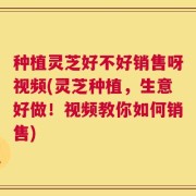 种植灵芝好不好销售呀视频(灵芝种植，生意好做！视频教你如何销售)
