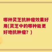 哪种灵芝抗肿瘤效果好用(灵芝中的哪种能更好地抗肿瘤？)