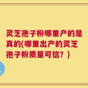 灵芝孢子粉哪里产的是真的(哪里出产的灵芝孢子粉质量可信？)