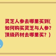 灵芝人参去哪里买到(如何购买灵芝与人参？顶级药材去哪里买？)