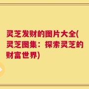 灵芝发财的图片大全(灵芝图集：探索灵芝的财富世界)
