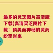 最多的灵芝图片高清版下载(高清灵芝图片下载：精美而神秘的灵药纷至沓来