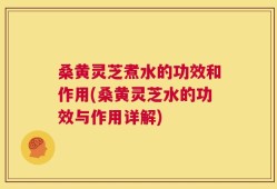 桑黄灵芝煮水的功效和作用(桑黄灵芝水的功效与作用详解)