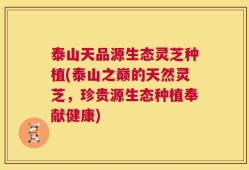 泰山天品源生态灵芝种植(泰山之巅的天然灵芝，珍贵源生态种植奉献健康)