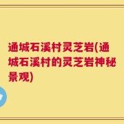 通城石溪村灵芝岩(通城石溪村的灵芝岩神秘景观)