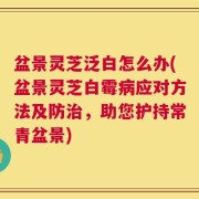 盆景灵芝泛白怎么办(盆景灵芝白霉病应对方法及防治，助您护持常青盆景)