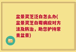 盆景灵芝泛白怎么办(盆景灵芝白霉病应对方法及防治，助您护持常青盆景)