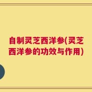 自制灵芝西洋参(灵芝西洋参的功效与作用)