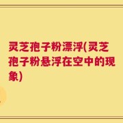 灵芝孢子粉漂浮(灵芝孢子粉悬浮在空中的现象)