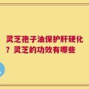 灵芝孢子油保护肝硬化？灵芝的功效有哪些
