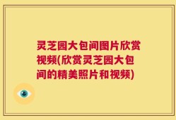 灵芝园大包间图片欣赏视频(欣赏灵芝园大包间的精美照片和视频)