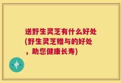 送野生灵芝有什么好处(野生灵芝赠与的好处，助您健康长寿)