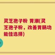 灵芝孢子粉 胃潮(灵芝孢子粉，改善胃肠功能佳选择)