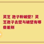 灵芝 孢子粉破壁？灵芝孢子去壁与破壁有哪些差别