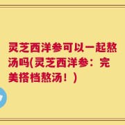 灵芝西洋参可以一起熬汤吗(灵芝西洋参：完美搭档熬汤！)