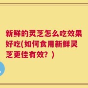 新鲜的灵芝怎么吃效果好吃(如何食用新鲜灵芝更佳有效？)