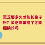 灵芝要多久才能长孢子粉？灵芝要采摘了才能继续长吗