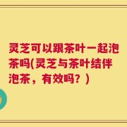 灵芝可以跟茶叶一起泡茶吗(灵芝与茶叶结伴泡茶，有效吗？)