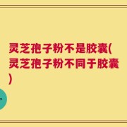 灵芝孢子粉不是胶囊(灵芝孢子粉不同于胶囊)