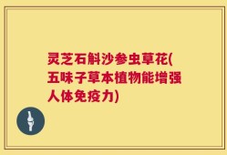灵芝石斛沙参虫草花(五味子草本植物能增强人体免疫力)