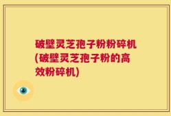 破壁灵芝孢子粉粉碎机(破壁灵芝孢子粉的高效粉碎机)