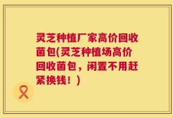 灵芝种植厂家高价回收菌包(灵芝种植场高价回收菌包，闲置不用赶紧换钱！)