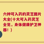 六种可入药的灵芝图片大全(十大可入药灵芝全览，身体健康护卫神器！)