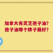 加拿大有灵芝孢子油？孢子油哪个牌子最好？