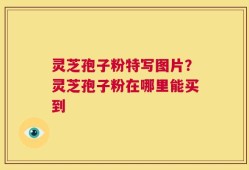灵芝孢子粉特写图片？灵芝孢子粉在哪里能买到