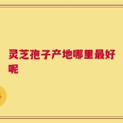 灵芝孢子产地哪里最好呢