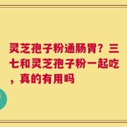 灵芝孢子粉通肠胃？三七和灵芝孢子粉一起吃，真的有用吗