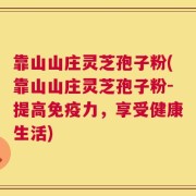靠山山庄灵芝孢子粉(靠山山庄灵芝孢子粉-提高免疫力，享受健康生活)