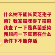 什么树不能长灵芝孢子菌？我家猫咪得了猫癣我查了一下是真菌感染我想问一下真菌在什么条件下不能存活