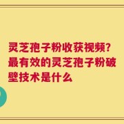 灵芝孢子粉收获视频？最有效的灵芝孢子粉破壁技术是什么