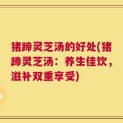 猪蹄灵芝汤的好处(猪蹄灵芝汤：养生佳饮，滋补双重享受)