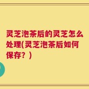 灵芝泡茶后的灵芝怎么处理(灵芝泡茶后如何保存？)