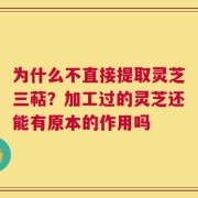为什么不直接提取灵芝三萜？加工过的灵芝还能有原本的作用吗