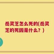 岳灵芝怎么死的(岳灵芝的死因是什么？)