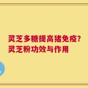 灵芝多糖提高猪免疫？灵芝粉功效与作用