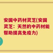 安国中药材灵芝(安国灵芝：天然的中药材能帮助提高免疫力)