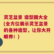 灵芝盆景 造型图大全(全方位展示灵芝盆景的各种造型，让你大开眼界！)