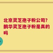 北京灵芝孢子粉公司？鹊华灵芝孢子粉是真的吗