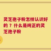 灵芝孢子粉怎样认识好的 ？什么是纯正的灵芝孢子粉