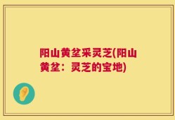 阳山黄坌采灵芝(阳山黄坌：灵芝的宝地)
